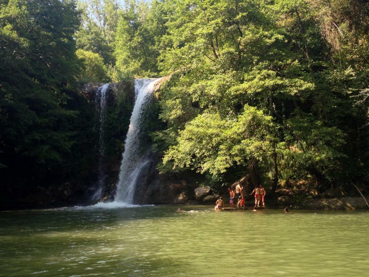 Can Nofre - Masia Familiar En Zona Tranquila Amer Экстерьер фото